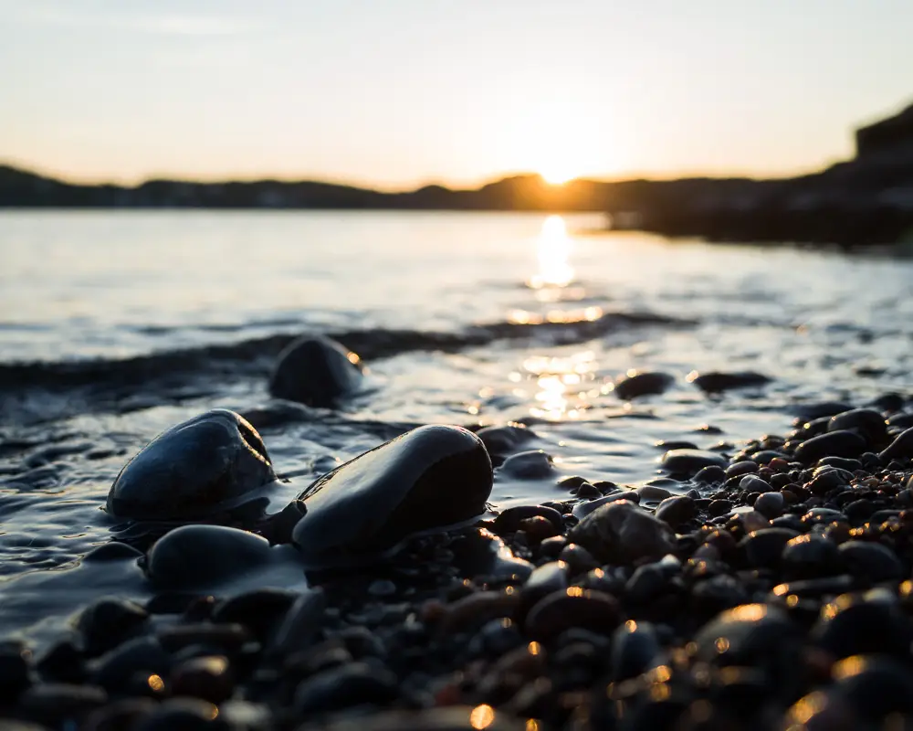 Foto martinborjesson.se